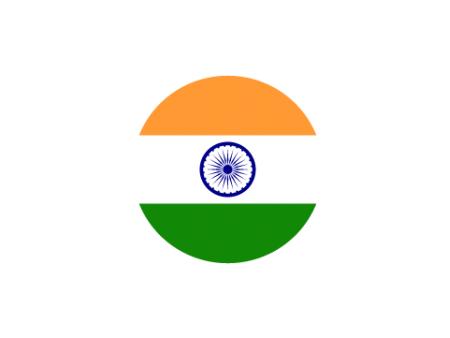 印度商标 India Trademark