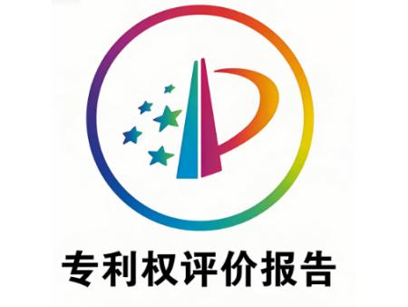 专利权评价报告